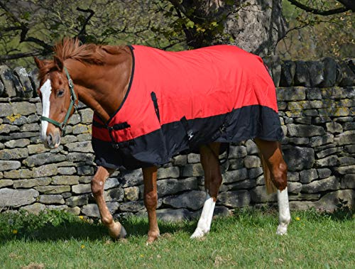 Couverture imperméable légère 600D pour cheval Rembourrage 100 g Col standard 1,8 m