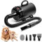 Blanlody Asciugacapelli per cani, molto silenzioso, 5,2 CV/3800 W, motore regolabile, ventilatore per la cura del cane con 4 diversi ugelli, tubo elastico
