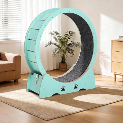 Laufrad Katze für Stubentiger 100 cm, Super Leises Katzenlaufrad mit Waschbarer Teppich, Spielchen & Sicherheitsverriegelung, Perfekt für Alle Katzengrößen