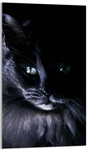 DarHaus Herdabdeckplatte 1 Teilig 30x52 cm Ceranfeldabdeckung Küche Elektroherd Induktion Herdschutz Spritzschutz Glasplatte Schneidebrett, Katze Schwarz