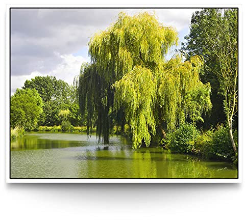 BilderKing Wandbild Weide am Fluss - 200cm x 150cm Leinwand auf 2cm Keilrahmen mit Schattenfugenrahmen weiß