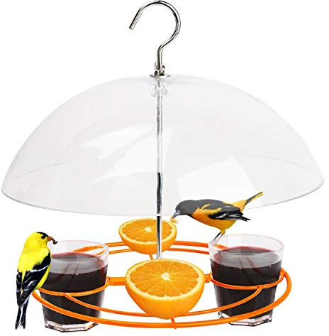 Solution4Patio Baltimore Oriole Feeder, Orange Halves Fruit & Grape Jelly, and Mealworm for Bluebirds, Weather Guard Squirrel Baffle #G-B312A00-US