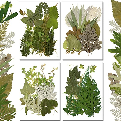 Timtin 84 Pieces Dried Pressed Leaves Flowers for Resin Mini Dried Flowers for Crafts Greenery Assorted for Art DIY Handmade Bookmarks 4 Bags(Vivid Style)
