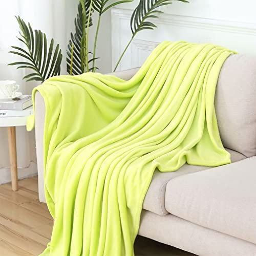 Hundebett Matte Warme Hundematte Pflegeleicht 50x70cm grün Weiche Fleecedecke Decken für Hunde Katzen Haustier Decke Hundedecke Flauschige Kuscheldecken Super Weich