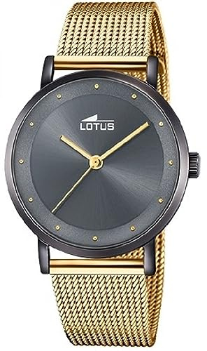 LOTUS Analogique 18830/1