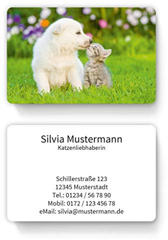 100 Visitenkarten inkl. Kartenspender - Design süßes Kätzchen mit Hundewelpen