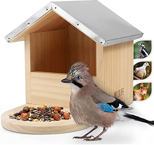 WILDLIFE FRIEND I Casetta per Uccelli - Adatta ad Uccellini Selvatici come Merli, Gazze, Picchi e Piccioni - Resistente alle Intemperie e Robusta - Realizzata in Legno Naturale - 20x20x26 cm