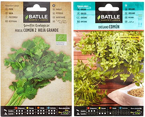 Perejil Común 2 (hoja grande) - ECO & Orégano - Origanum vulgare