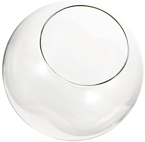 CIYODO Glas Terrarium Transparent Pflanzenterrarium DIY Sukkulenten Luftpflanzen Display Flasche Für Tisch Fensterbank Modernes Pflanzgefäß Zum Dekorieren Und Organisieren