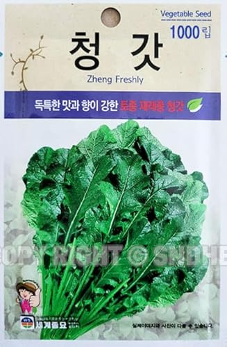 Green Leaf Mustard Plant Seeds Korean, 1 Pack, 4 Grams (청갓)