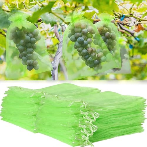 100 Stück Traubenschutzbeutel,Obst Schutzbeutel mit Zugband,Weintrauben Schutzbeutel Zum Schutz vor Wespenfrass,Kirschessigfliege und andere Insekten,Schützen Sie das Obst (Grün, 20cm x 30cm)