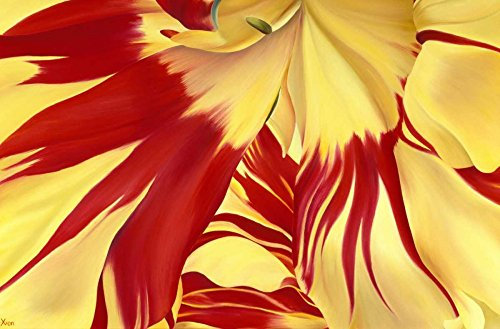Bild auf gerollter Leinwand, Motiv Alone Poelstra-Holzhaus Yvonne – Europäischer horizontaler Kunstdruck gelb rot Tulpe Nahaufnahme modern neue Leinwandbild 24_X_37_in