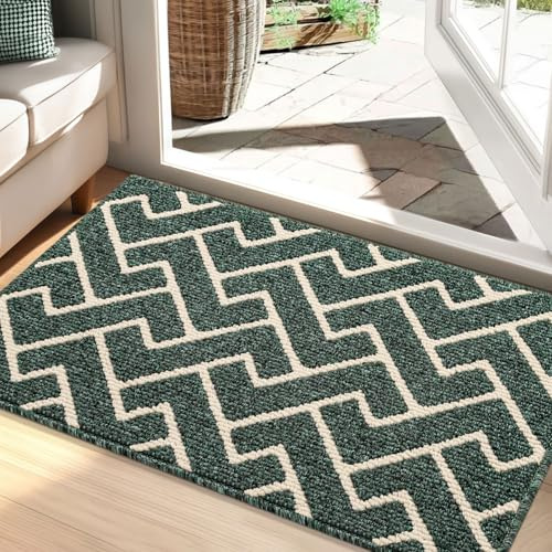 Biscpro Schmutzfangmatte 60x90 Fußmatte Innen, Wasserdicht Schmutzabsorption Matte rutschfest für Außen Eingang, Stufenmatten, Teppich, küchenteppich