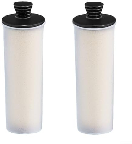 Zhanhai Paquete de 1/2/3/4 cartuchos de filtro de descalcificación de repuesto para limpiador de vapor Karcher-SC3 vertical serie Premium, accesorios de repuesto (paquete de 2)