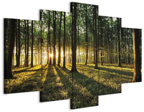 B&D XXL - Akustikbild Wald Natur 5 tlg - Bilder Akustikschaum Schallschutz Wand Deko Kunst Akustikpaneele Wandpaneele Schalldämmung Wandbild Schallabsorber Akustikplatten b-B-0027-b-n