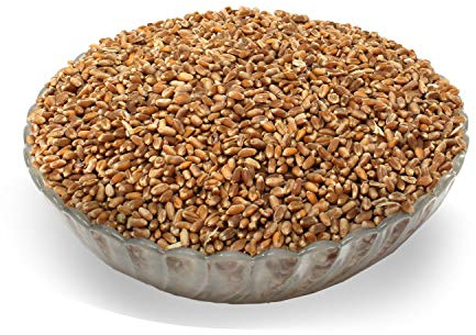 LanDixx Bio-Weizen 10 kg - Landweizen aus dem Werra-Meißner Kreis - Aus kontrolliert biologischem Anbau