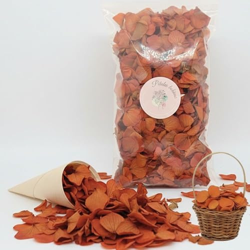 Vrai Pétales d'Hortensia Séchés Fleurs Terracotta Confettis de Mariage 1 L