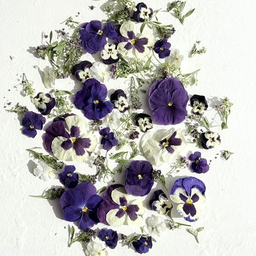 Edible Freeze Dried 'Emily' mix of Purple and White Viola, Pansy & Alyssum Flowers - Certified Food Grade (584)