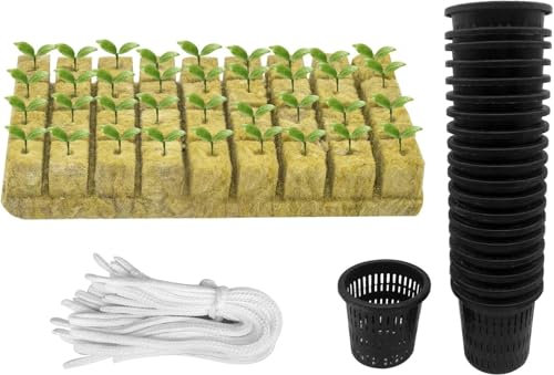 GIONAR 76Pcs Net Cup Pots - Hydroponics Mesh Net Cup Kit -Include 20Packs 2 Inch Slotted Mesh Net Pot Cups, 36Packs Stonewool Starter Plugs, 20 Article Self Watering Cotton Wick Cord for Hydroponics