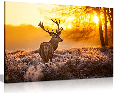 Red Deer In Morning Sun Canvas Wall Art Picture Print (18X12)