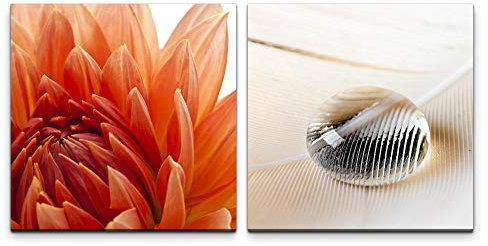 Paul Sinus Art Wandbild 2x60x60cm Blume rote Blüte weiße Feder Wassertropfen Wasserperle Fotokunst Makrofotografie