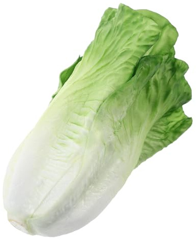FONDOTIN Lattuga Finta Decorativa Realistica in Pvc Verde per Esposizione | Riproduzione Vegetale ad Alta Simulazione, Finitura Premium, Non Sbiadisce, Uso Multiuso