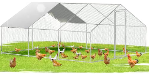 Ikodm Hühnerstall Freilaufgehege XXL 3x6x2m mit Schloss, Tiergehege Verzinkter Stahl Hühnerhaus Freigehege Outdoor Geflügelstall, für Hühnerkäfig Kleintiere
