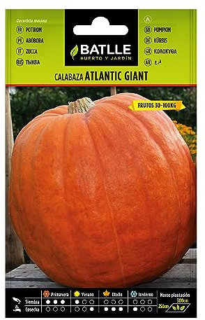 Semillas Batlle Calabaza Atlantic Giant