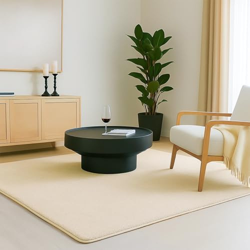 VOUNOT ® Tapis de Salon Moderne Ultra Doux Tapis à Poils Ras Lavable en Machine avec Un sous-Tapis antidérapant fourni pour Le Salon la Chambre ou la terrasse 80x150cm Beige