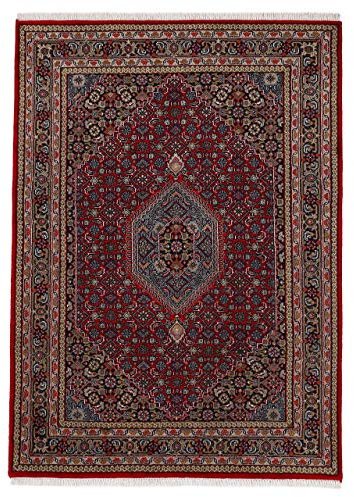 carpetfine Bidjar Teppich Rot 300x400 cm | Handgeknüpfter Teppich für Wohn- und Schlafzimmer