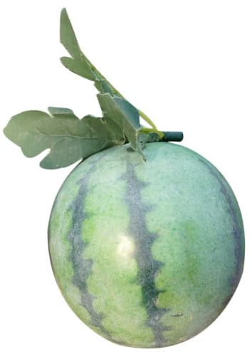 OFFSCH Dekorative Schaumstoff Wassermelone, Naturgetreue Fruchtdeko | Grün, Fotorequisite und Lehrmittel, Passend zu Weiteren Simulationsfrüchten für Kindergärten Zufälliger Stil