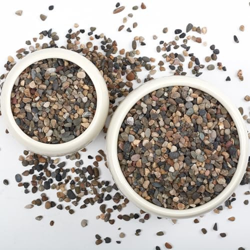5LB Natural River Rocks, 1/4 Aquarium Gravel, Small Pebbles for Plants, Pea Gravel for Fish Tanks, Decorative Rocks for Gardening, Flower Pots, Vase Fillers, Indoor Fountains (10, Pounds) (5 LBS)