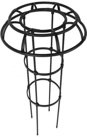 Haofy Support pour Plantes Grimpantes, Piquet de Plante en Pot Robuste en Acier et Plastique Antirouille avec Assemblage Rapide sans Outil pour Vignes et Fleurs Grimpantes de (3 Niveaux)