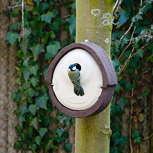 CJ Wildlife Nistkasten – Vogelnistkasten für Meisen – Holzbeton Woodstone mit Marderschutz – 28 mm Einflugöffnung – Langlebig, wetterfest, isolierend für draußen