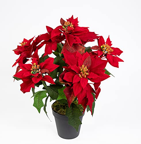 Seidenblumen Roß Weihnachtsstern Nature 38cm samt-rot im Topf PM künstliche Blume Kunstpflanze Kunstblumen Poinsettie