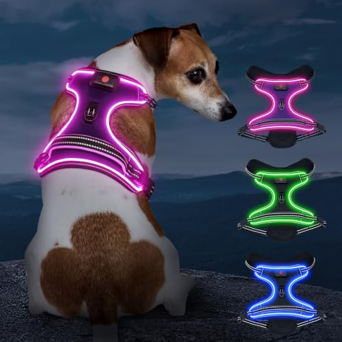 Kpuplol Leuchtendes Hundegeschirr für Klein/Mittelgroße Hunde - Violett, Gestreift, LED, Anti-Zug, Verstellbar, Vibrant Striped Violet, Ideal für Nachtspaziergänge
