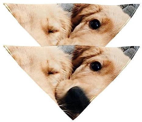 Passendes Set mit Hundehalstüchern, Hundelätzchen, Schal, Dreieckstuch für Hunde, Katzen, Haustierbesitzer, Mutter und Vater, 2er-Pack,Tier Zwei Golden Retriever