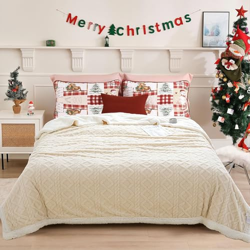 QOFLY Sherpa Manta de doble capa, forro polar, 200 x 230 cm, universal para salón y dormitorio, manta de invierno