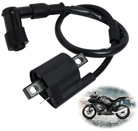 Bobina di Accensione per Moto, Bobina Accensione Ignition Coil Sostituzione Spark Coil per ATV Dirt Pit Bike Scooter Go-Kart Ciclomotore Ccooter 150CC 200CC 250CC per CBF125 CBR125 TRX650 TRX700