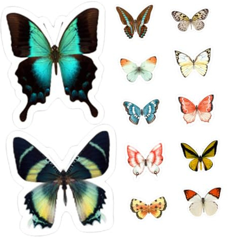 Hemobllo Pegatinas Estáticas para Ventanas Anti-colisión Decoración sin Adhesivo Protección para Aves Vinilos Reutilizables para Hogar y Oficina