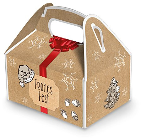 Logbuch-Verlag 10 x Weihnachten Geschenke Verpackung Frohes Fest Geschenkschachtel weihnachtlich rot braun 9 x 12 x 6 cm