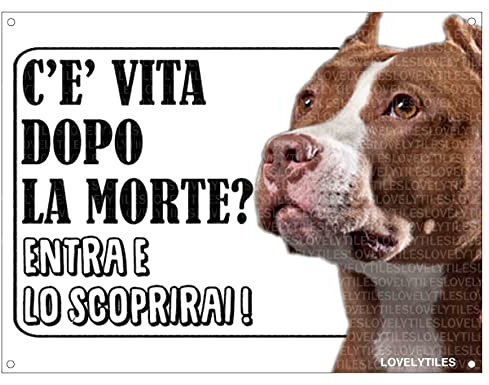 Lovelytiles Pitbull ATTENTI al Cane Esiste LA Vita Dopo LA Morte? Targa Cartello INSEGNA (Metallo)