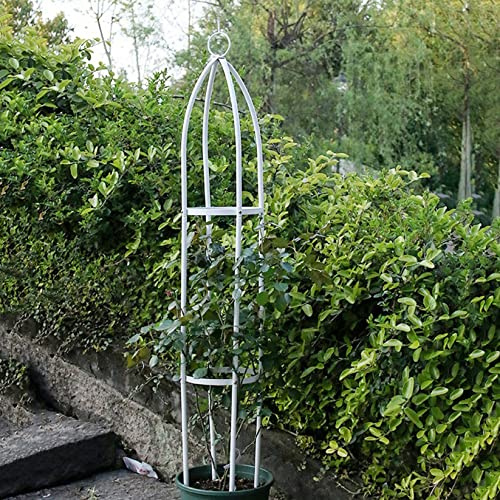 Gartenbögen für Kletterpflanzen – Rosen-Pergola-Unterstützung, Tomaten- & Blumen-Rankgitter, Säule für Sträucher, Gemüse, Gartenarbeit & Obstgarten