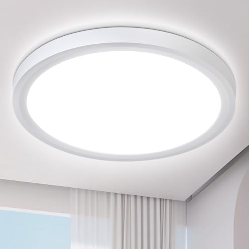 Defurhome 23cm Bathroom Ceiling Light,Waterproof IP54,18W 2100LM,5000K Daylight White, Dome, Modern,Ultra-Thin Round Flush Ceiling Light for Toilet Porch Hallway Living Room Kitchen