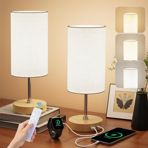 NIORSUN Light Therapy Lamp,10000 Lux Sun Lamp with Remote,3 Color Temperatures & Stepless Dimming,Happy Sunlight Lamp with USB C & A Ports,UV-Free Full Spectrum Light for Home, Office