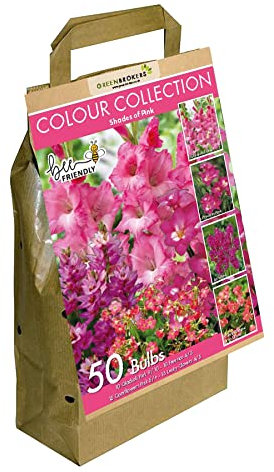 GreenBrokers Colour Collection Summer Flowering Bulbs Pink, Mixed Varieties (Pack of 50) Bee & Butterfly Friendly