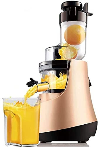 NSTVVEE Estrattore di Succo a Bocca Larga, Spremiagrumi Compatto per Frutta e Verdura, Spremiagrumi a Doppia velocità con Funzione Antigoccia, Spremiagrumi in Acciaio Inossidabile Facile d