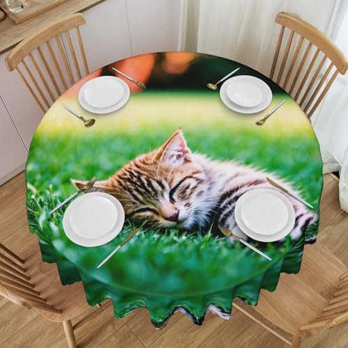 WapNo Tovaglia rotonda con motivo gattino che dorme, 152 cm, per casa, cucina, sala da pranzo, patio, uso interno ed esterno