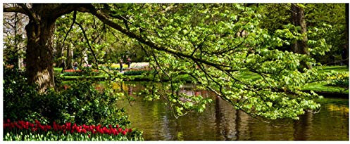 Wallario Glasbild Bunte Blumen im Park am Wasser - Frühblüher am Ufer - 50 x 125 cm Wandbilder Glas in Premium-Qualität: Brillante Farben, freischwebende Optik