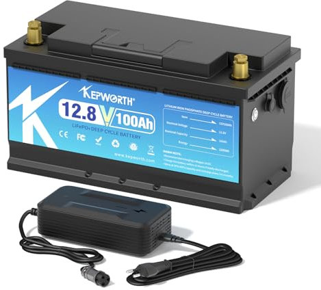 Lifepo4 Akku 12v 100ah Autobatterie mit BMS Ersetzt AGM oder Gel Aufbau Batterie für Wohnmobil, Boot, Camping oder Solaranlage - mit lifepo4 ladegerät